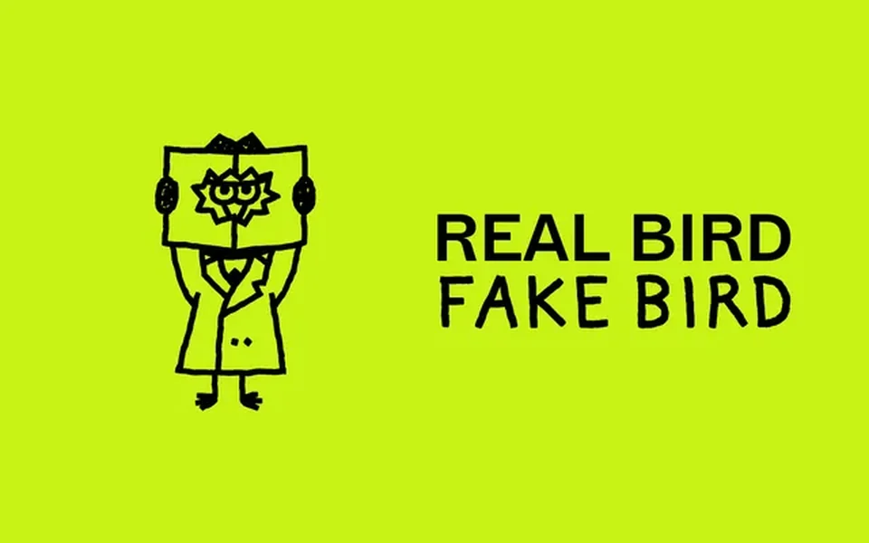 Real Bird Fake Bird game preview
